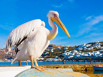Zdjęcie kierunku: Mykonos